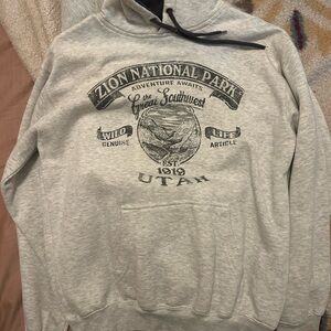 Zion National Park Gray Graphic Hoodie Sweatshirt